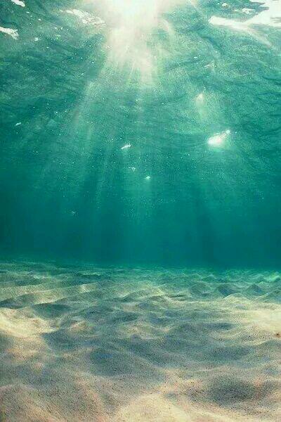 替嫁娇妻总裁宠妻上瘾